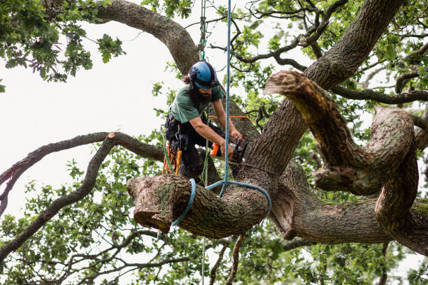 Mulching Services in Danbury, CT